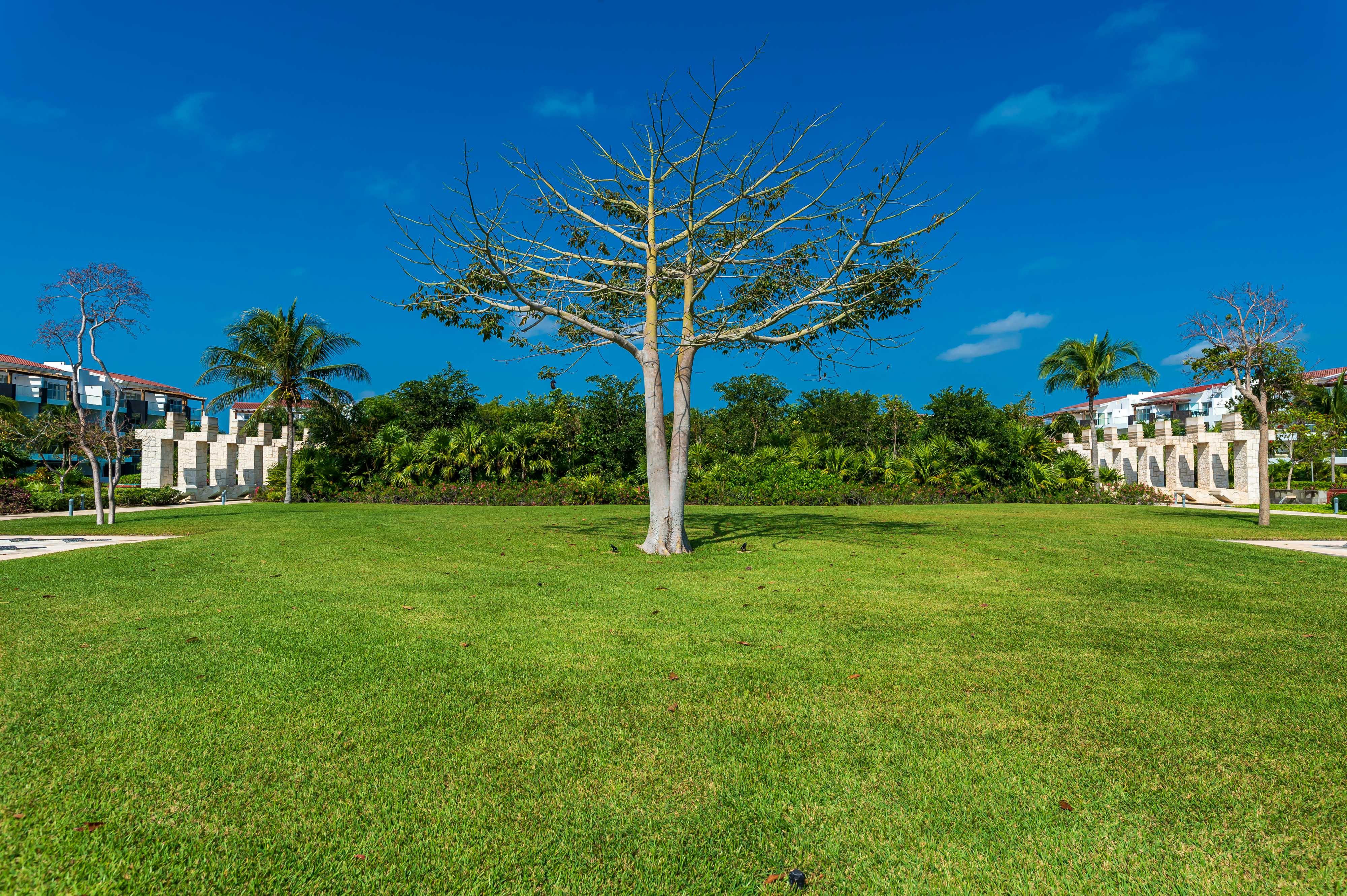 Mareazul Beach Front Resort Playa Del Carmen Zewnętrze zdjęcie